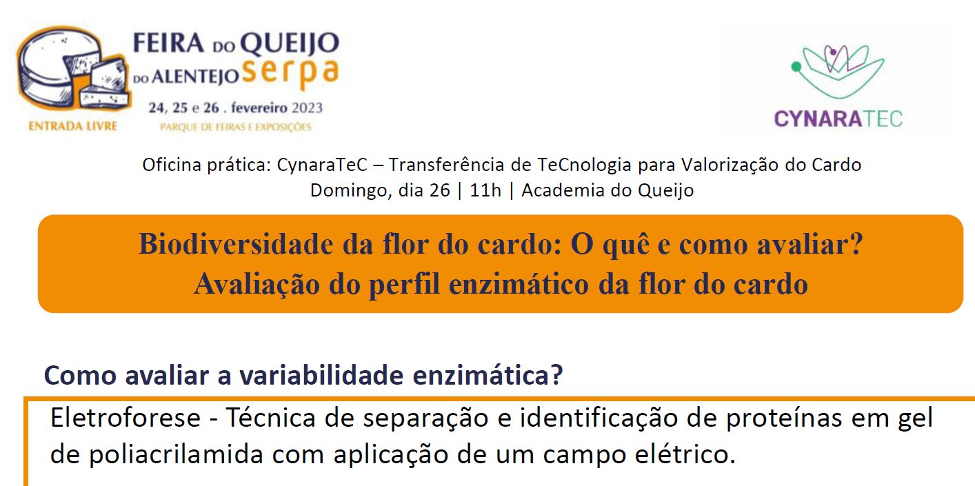 Folheto Workshop Feira de Serpa